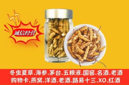 平山县回收散虫草